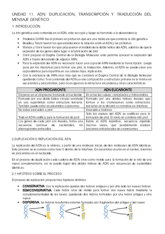 UNIDAD-11.pdf
