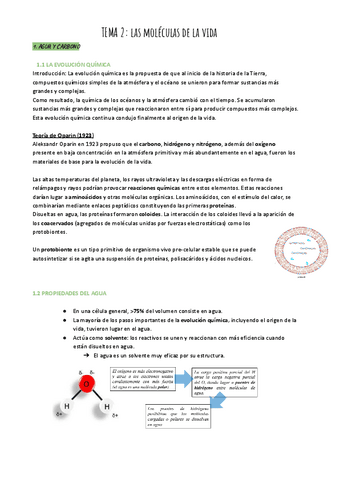 TEMA-2-Las-moleculas-de-la-vida.pdf