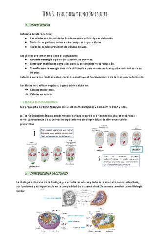 TEMA-3-Estructura-y-funcion-celular.pdf