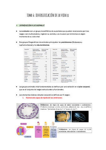 TEMA-6-La-diversificacion-de-la-vida-II.pdf