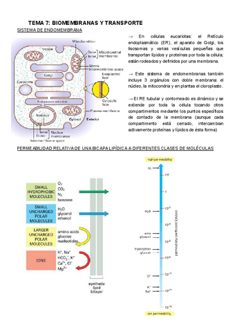 Bioquimica-tema7.pdf