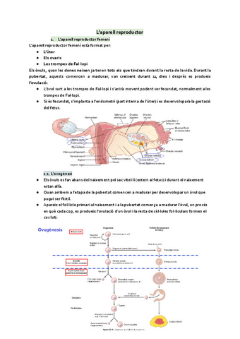 Aparell-reproductor.pdf