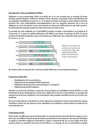 Bloque-IV-parte-II.pdf