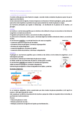 11.-Farmacologia-endocrina.pdf