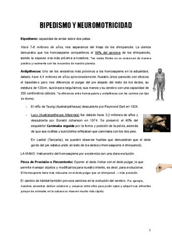 Bipedismo-y-neuromotricidad.pdf