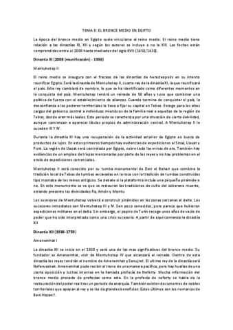 TEMA-8.-Historia-Antigua.pdf