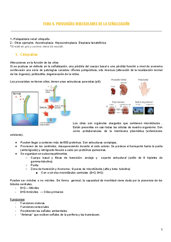 Tema-6.-Senalizacion.pdf