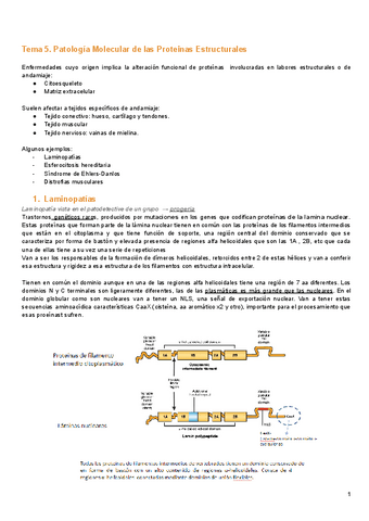 Tema-5.-Proteinas-estructurales.pdf