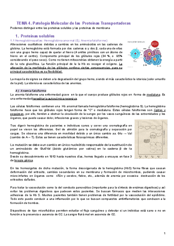 TEMA-4.-Proteinas-transportadoras.pdf