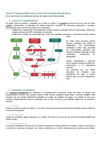 Tema-3.-Enfermedades-metabolicas.pdf