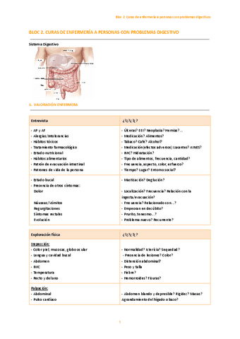 Bloc-2.-Cures-dinfermeria-a-pacients-amb-problemes-digestius.pdf