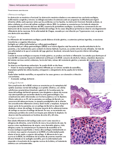 ANATOMIA-PATOLOGICA-ESPECIAL-MG-Tema-2-digestivo.pdf