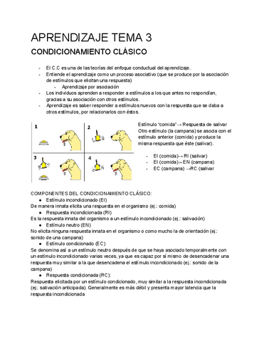 MEM-APR-TEMA-3.-APUNTES.pdf