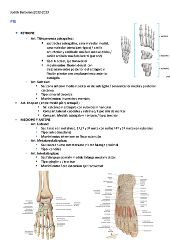 Artrologia-Pie.pdf