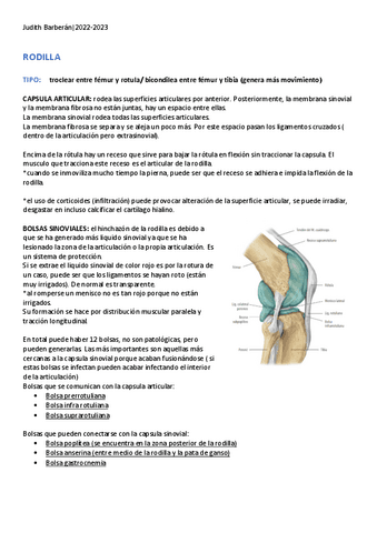 Artrologia-Rodilla.pdf