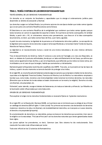 TEMA-1.-TEORIA-E-HISTORIA-DE-LOS-DERECHOS-FUNDAMENTALES.pdf