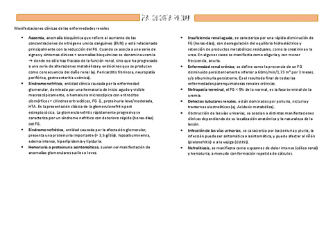 4.-Patologia-renal.pdf