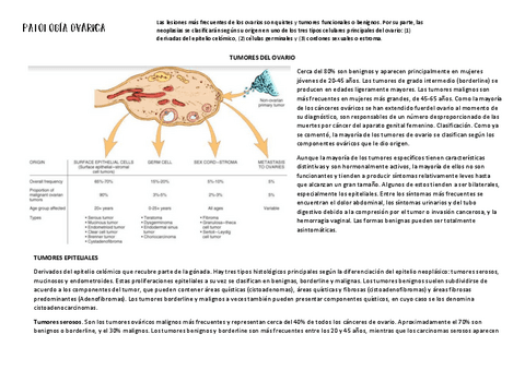 6.-Patologia-ovarica.pdf