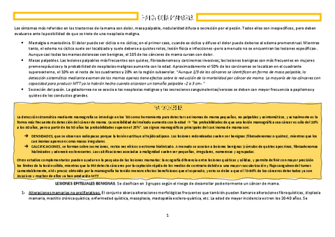 6.-Patologia-glandula-mamaria.pdf