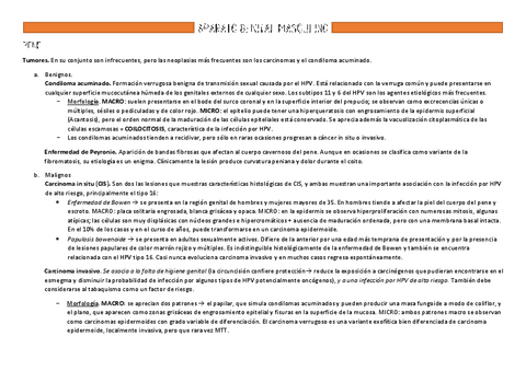 6.Patologia-del-aparato-genital-masculino.pdf