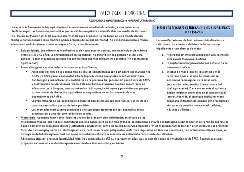 7.-Patologia-del-sistema-endocrino.pdf