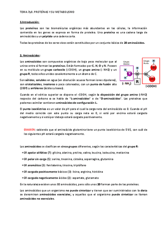 apuntes-T7-Y-t8.pdf