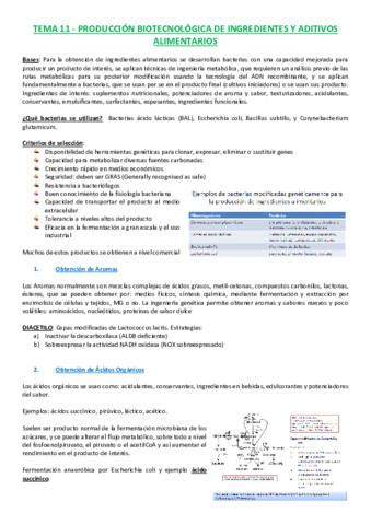 T11 Producción de Ingredientes y Aditivos.pdf