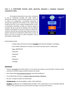 Tema 2 APatológica.pdf