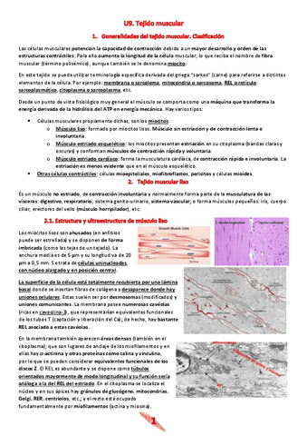 U9.-Tejido-muscular.pdf