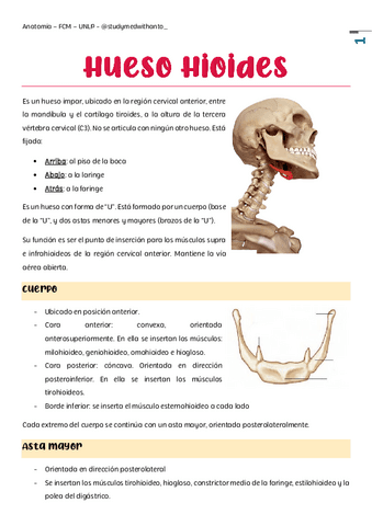 musculos-supra-e-infra.pdf