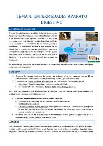 Tema 4. Enfermedades específicas del aparato digestivo.pdf