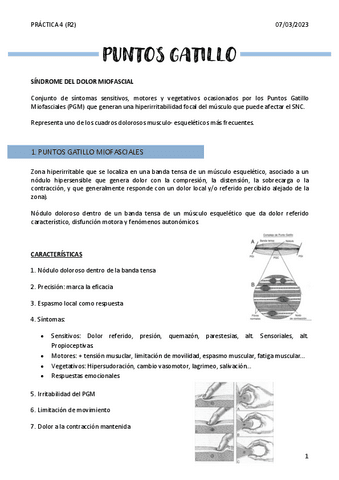 PUNTOS-GATILLO.pdf