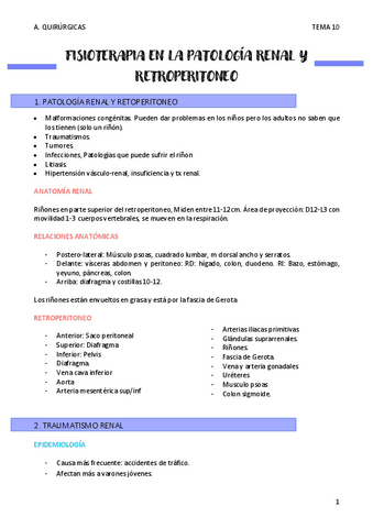 FISIOTERAPIA-EN-LA-PATOLOGIA-RENAL-Y-RETROPERITONEO-t-10.pdf
