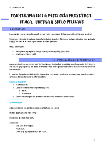 FISIOTERAPIA-EN-LA-PATOLOGIA-PROSTATICA-T11.pdf