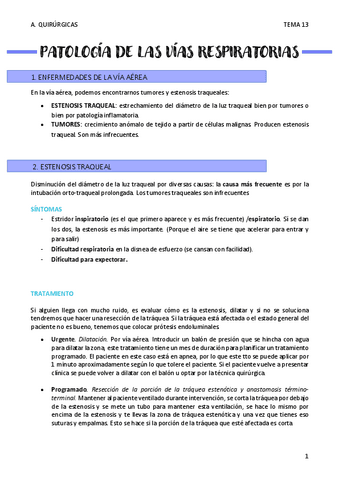 PATOLOGIA-DE-LAS-VIAS-RESPIRATORIAS-T13.pdf