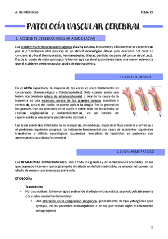ACVA-T19.pdf