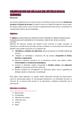 OBSERVACION-DE-CELULAS-DEL-EPITELIO-BUCAL-HUMANO.pdf