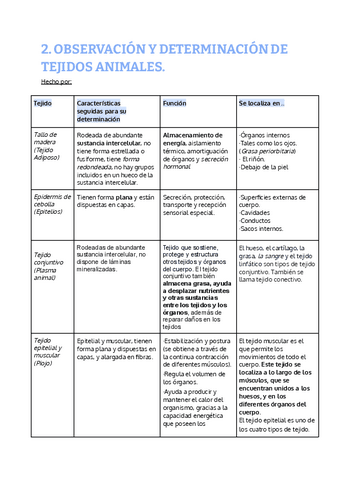 2.-OBSERVACION-Y-DETERMINACION-DE-TEJIDOS-ANIMALES.-1.pdf