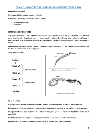 t12-parasito.pdf