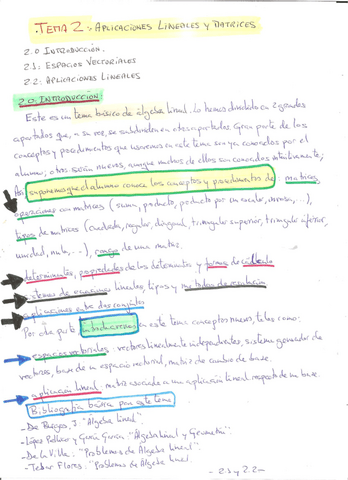 TEMA2.-Aplicaciones-lineales-y-espacios-vectoriales.pdf