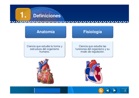 anatomia-con-graficos.pdf