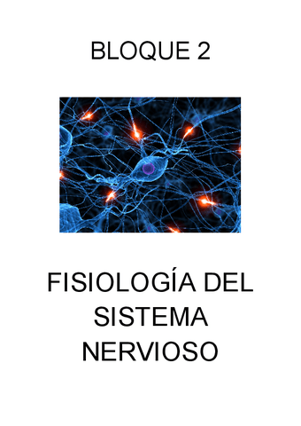 Sistema Nervioso Pdf