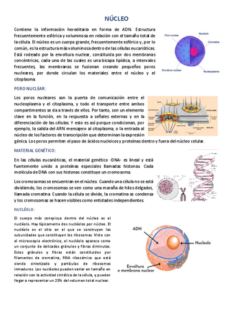 APUN-3.pdf