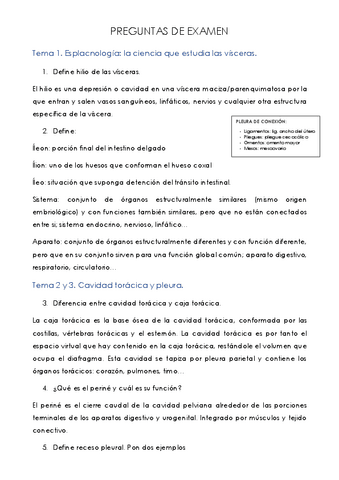 RECOPILATORIO-PREGUNTAS-EXAMEN.pdf