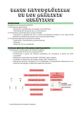 TEMA-8.pdf