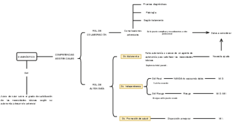 Mapa-conceptual-etapa-diagnostica-fonaments-metodologics.pdf
