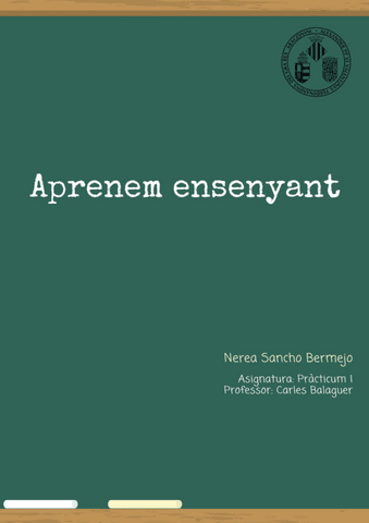 Informe-practiques-Nerea-Sancho-Bermejo.pdf