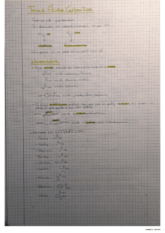 Tema 6 QO2.pdf