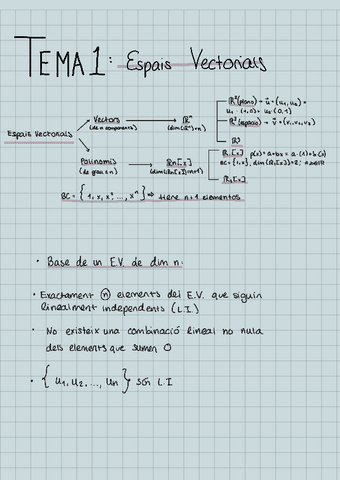 ACM-TEMA-1-Espais-Vectorials.pdf