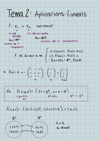 ACM-TEMA-2-Aplicacions-Lineals.pdf